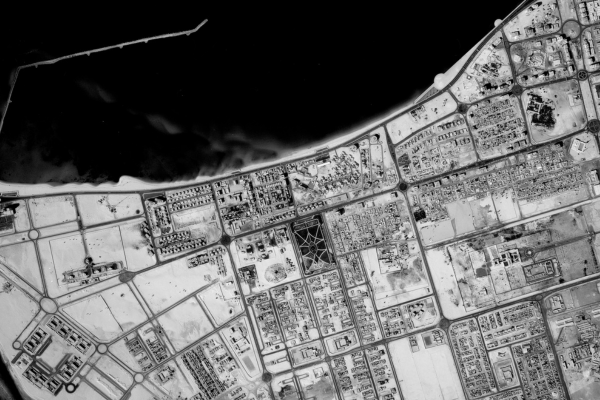 A historic black and white vertical aerial photo of a city arranged in a grid on a shoreline. The sea is towards the top of the image and very dark. There are undeveloped areas within the city. 