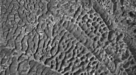 A historic black and white vertical aerial photo of a landscape. The landscape is covered in numerous small hills creating a corrugated effect. 